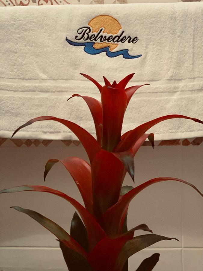 파르티니코 Casa Vacanze Belvedere 아파트 외부 사진
